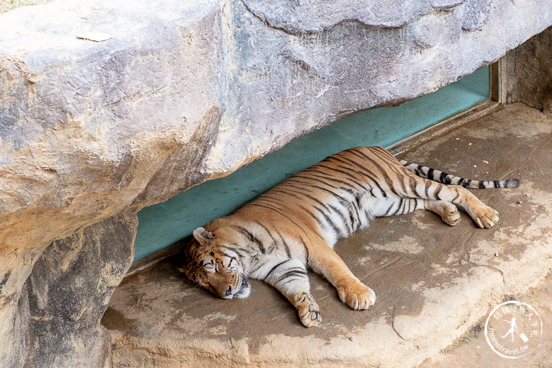 新竹景點》新竹市立動物園│大象門、噴水池 穿越80年的思念