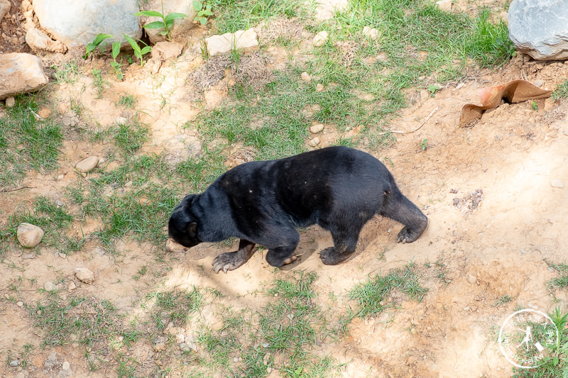 新竹景點》新竹市立動物園│大象門、噴水池 穿越80年的思念