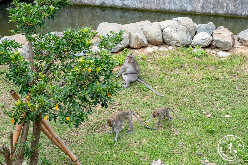 新竹景點》新竹市立動物園│大象門、噴水池 穿越80年的思念