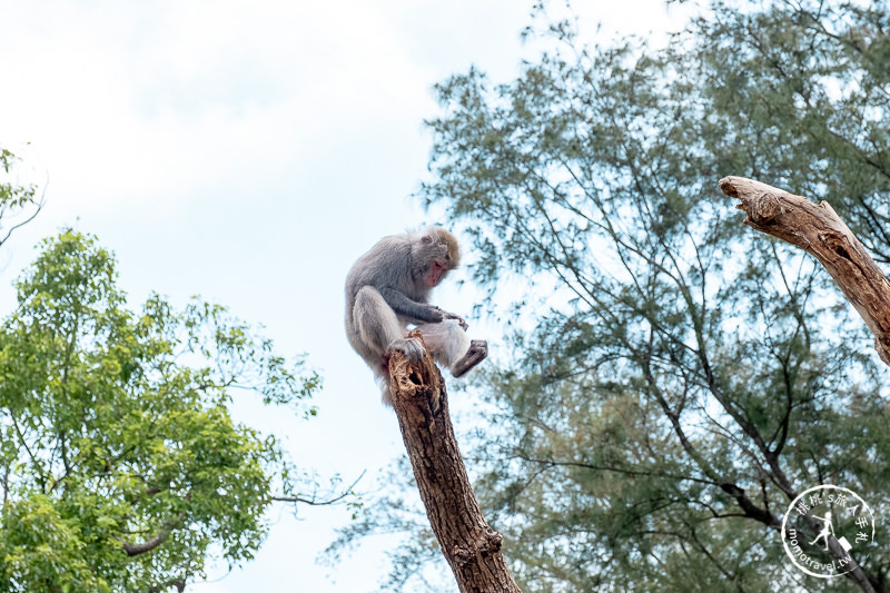 新竹景點》新竹市立動物園│大象門、噴水池 穿越80年的思念