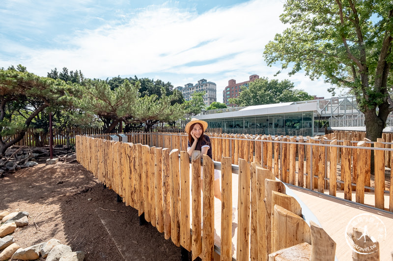 新竹景點》新竹市立動物園│大象門、噴水池 穿越80年的思念