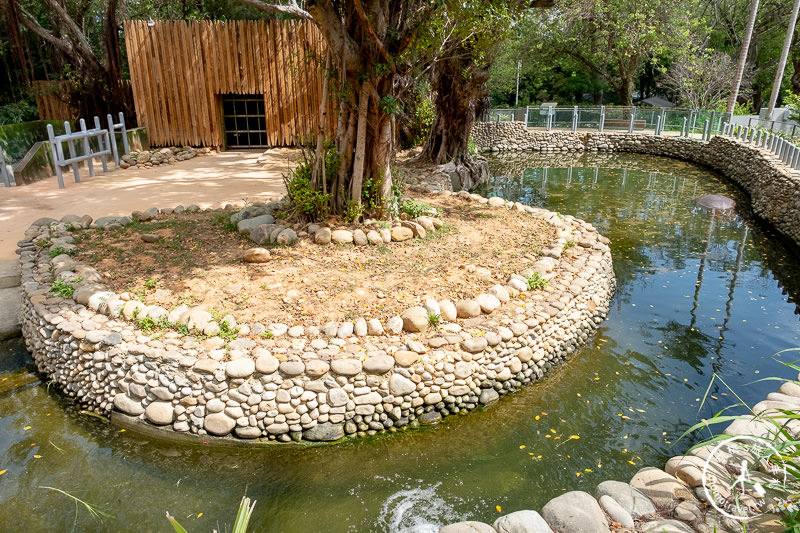 新竹景點》新竹市立動物園│大象門、噴水池 穿越80年的思念