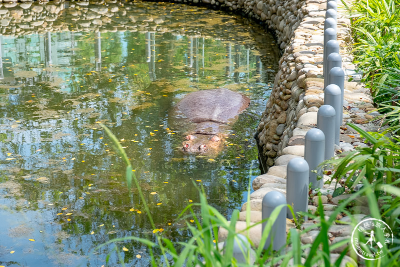 新竹景點》新竹市立動物園│大象門、噴水池 穿越80年的思念