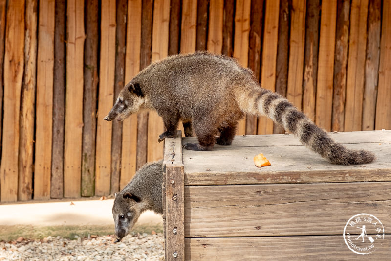 新竹景點》新竹市立動物園│大象門、噴水池 穿越80年的思念