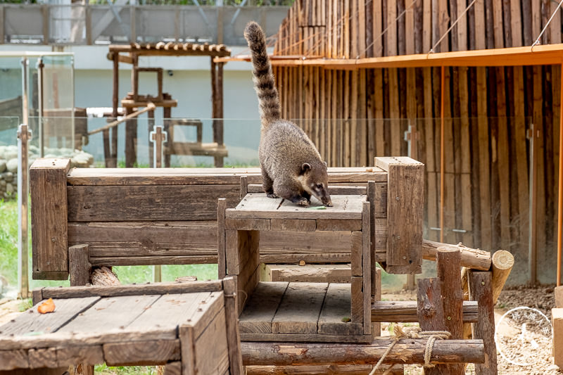 新竹景點》新竹市立動物園│大象門、噴水池 穿越80年的思念