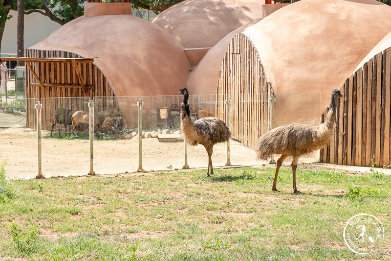 新竹景點》新竹市立動物園│大象門、噴水池 穿越80年的思念