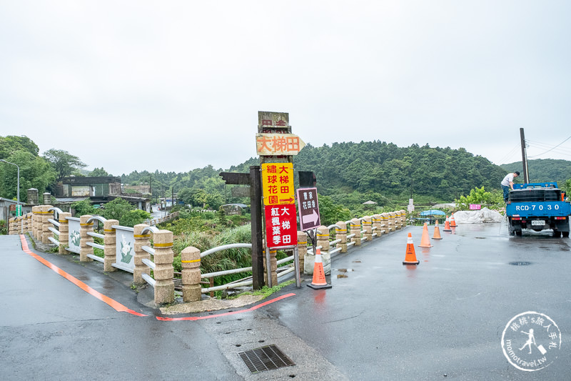 台北繡球花》陽明山竹子湖 大梯田花卉生態農園│2020最新花況分享