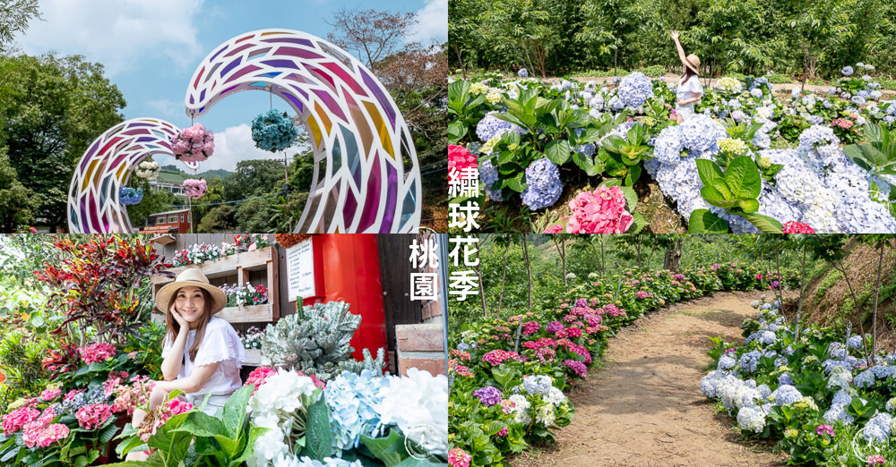 2022桃園繡球花季》8處繡球花祕密花園公開│賞花地點在哪裡？活動時間報你知！