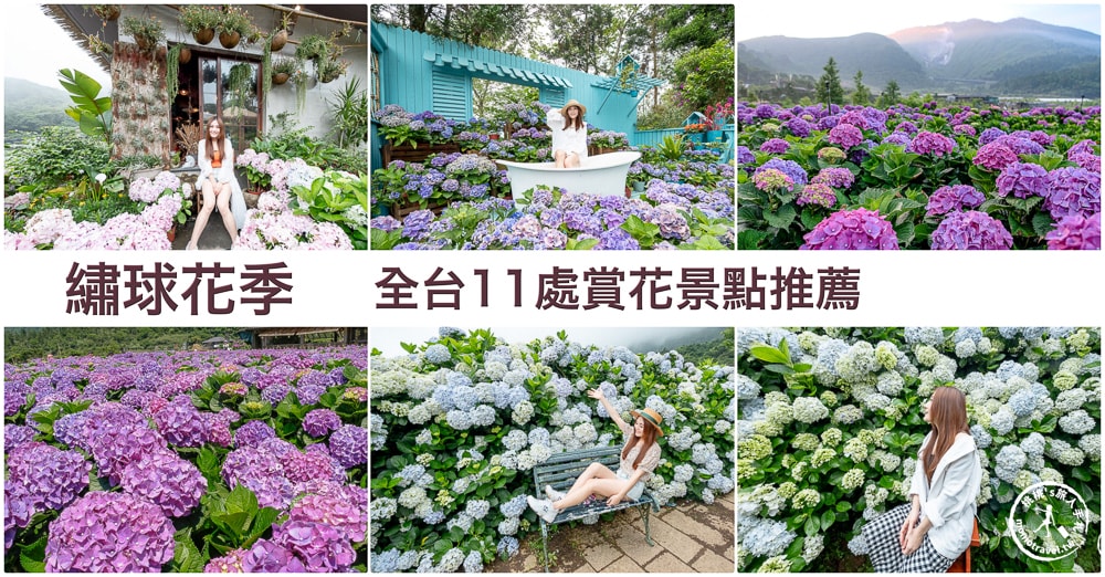 全台北中南 繡球花季|11個繡球花景點行程推薦