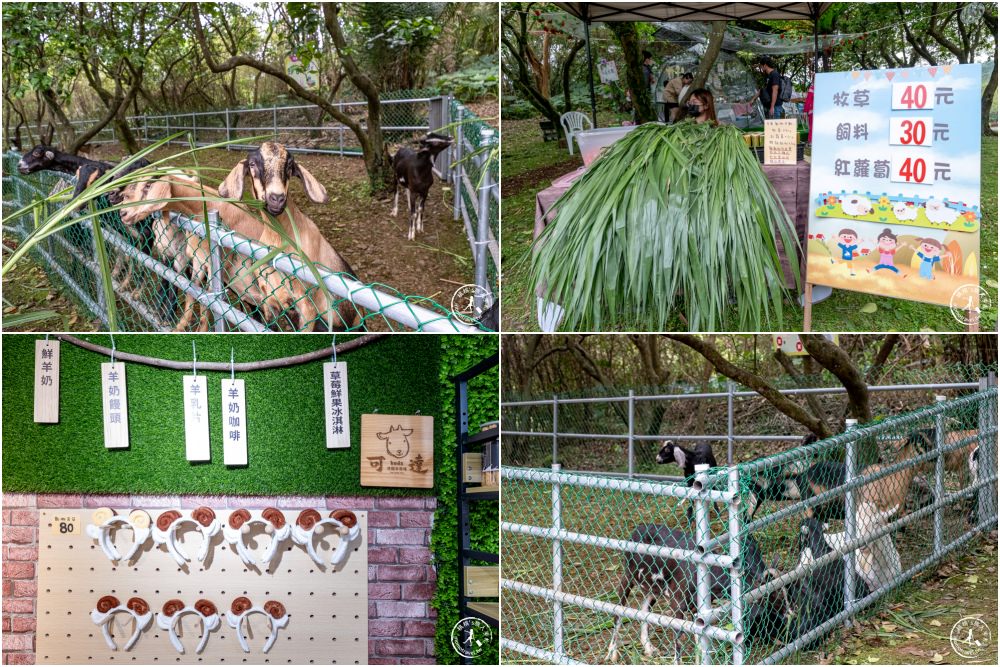 2023宜蘭綠色博覽會|必看重點整理－莎士登迷宮降臨武荖坑|展期時間.交通停車.門票票價.詳細介紹