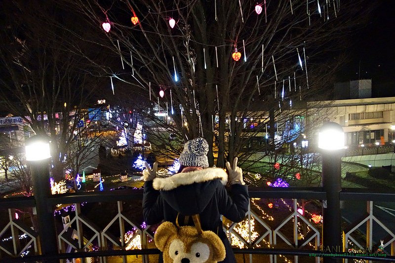 DSC06585