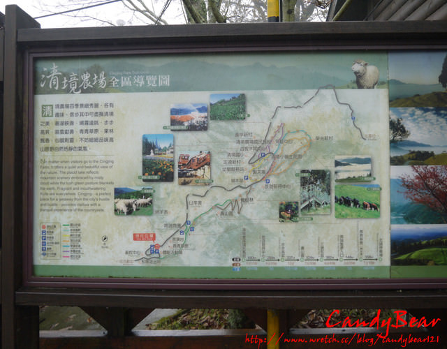 南投》清境農場青青草原 小羊兒你在哪裡啊!! - 第6張圖