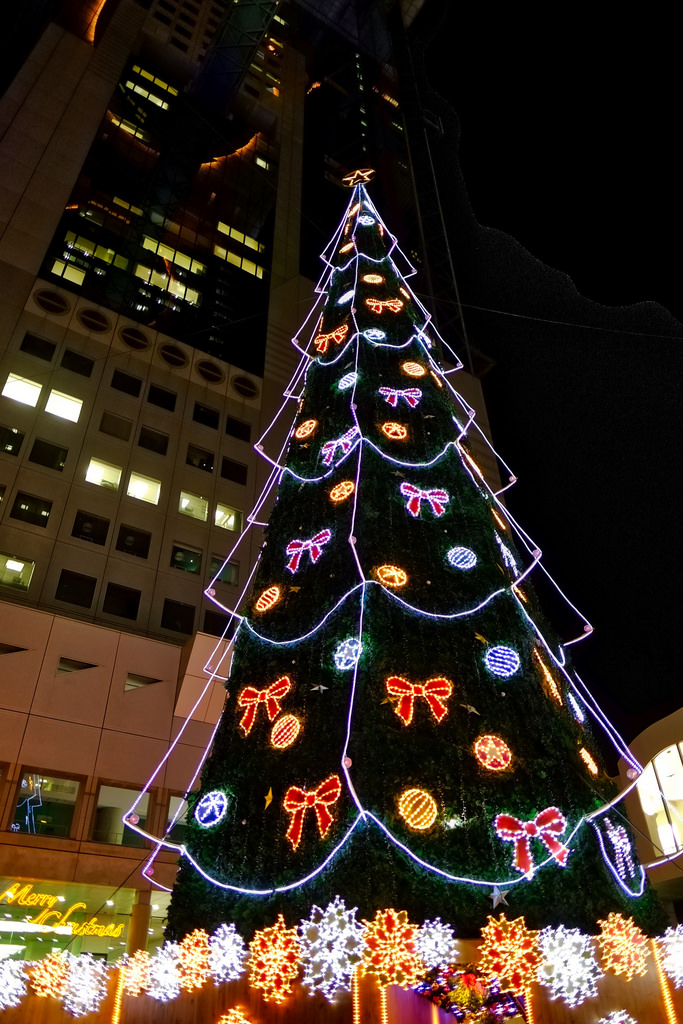 DSCF3138