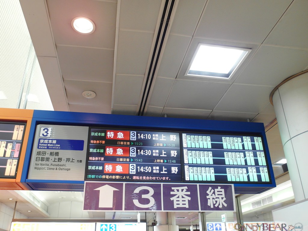 06.jpg