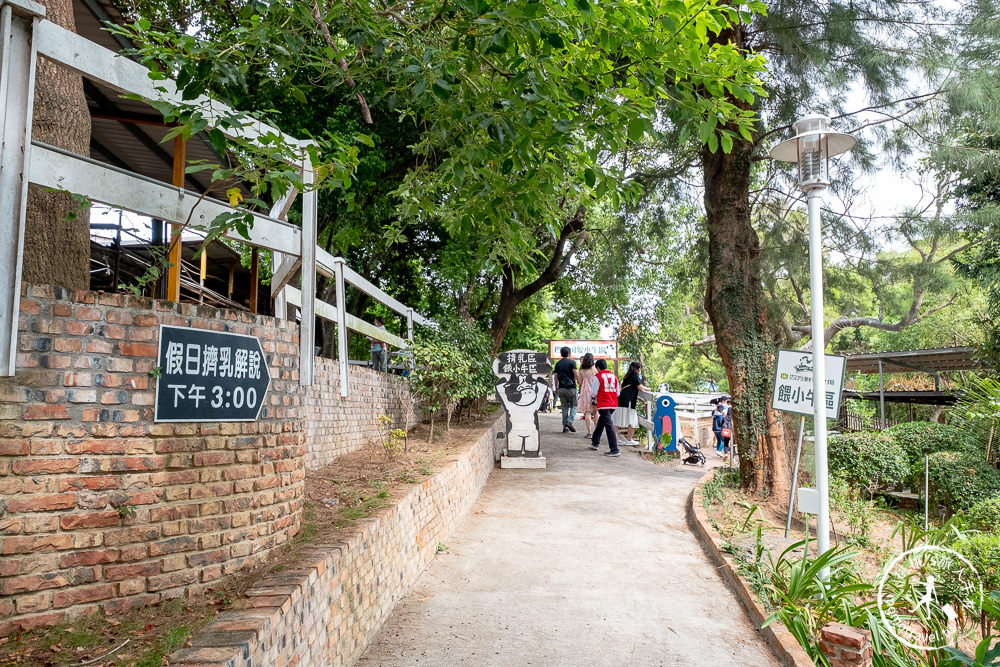 苗栗竹南景點》四方鮮乳牧場│餵小牛.玩滑草.野餐.烤肉.露營 可愛乳牛的家