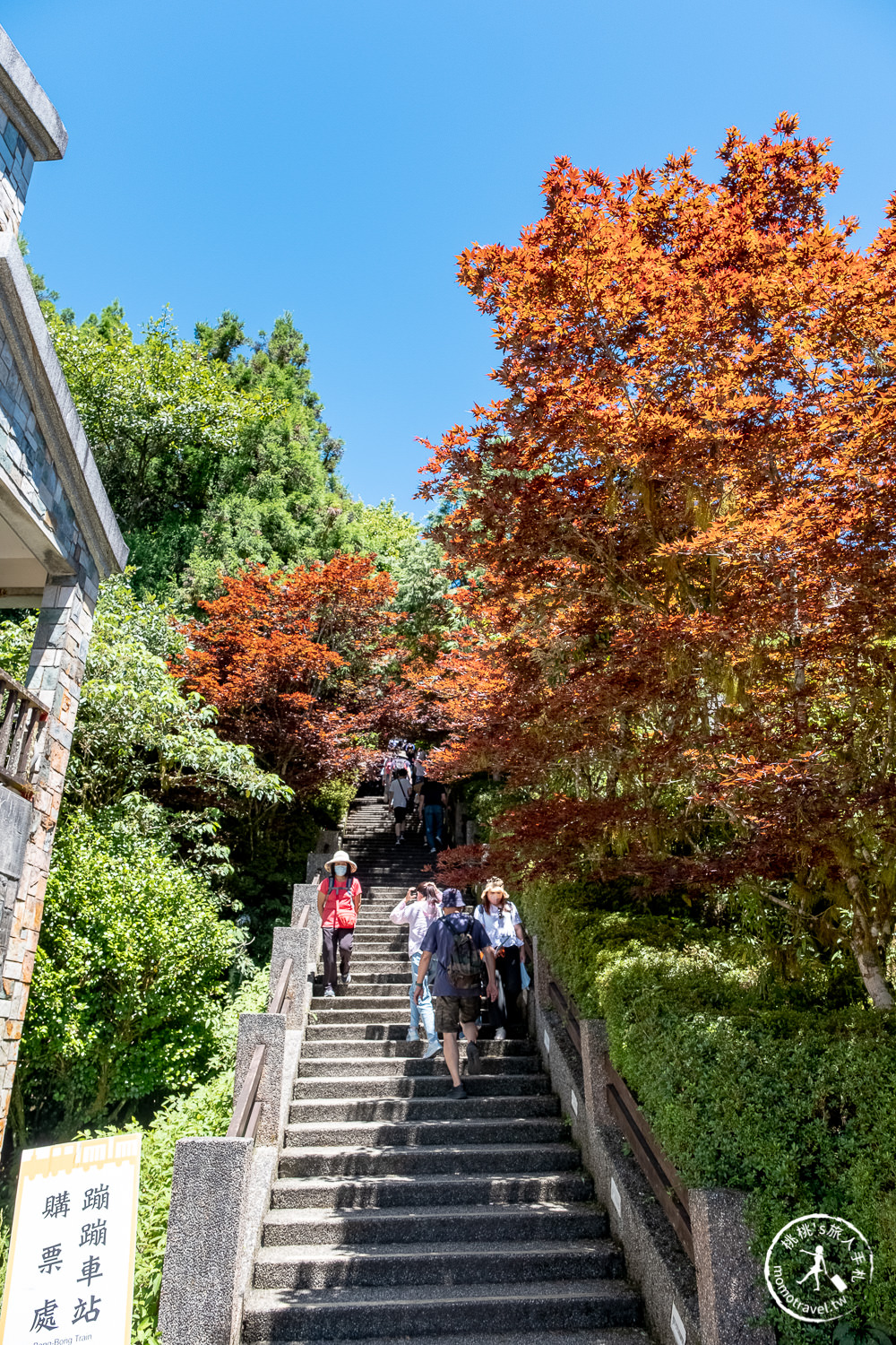 宜蘭太平山景點|太平山莊紫葉槭楓紅階梯|夏天也能賞楓的紅葉步道(門票價格.交通停車.賞楓介紹)