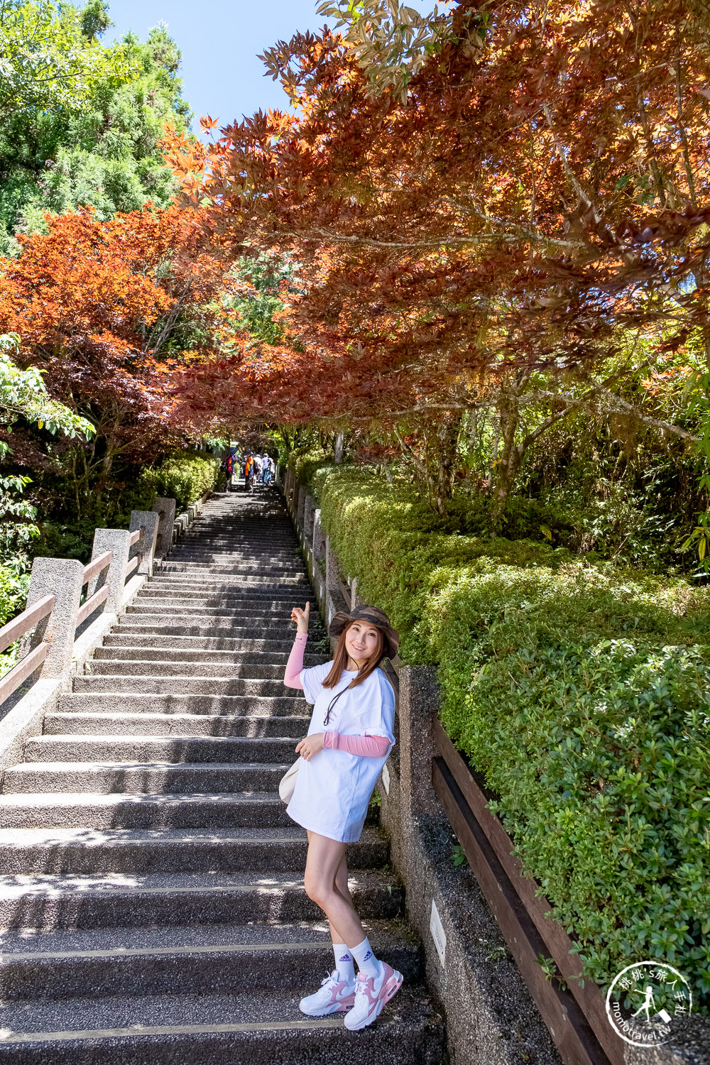 宜蘭太平山景點|太平山莊紫葉槭楓紅階梯|夏天也能賞楓的紅葉步道(門票價格.交通停車.賞楓介紹)