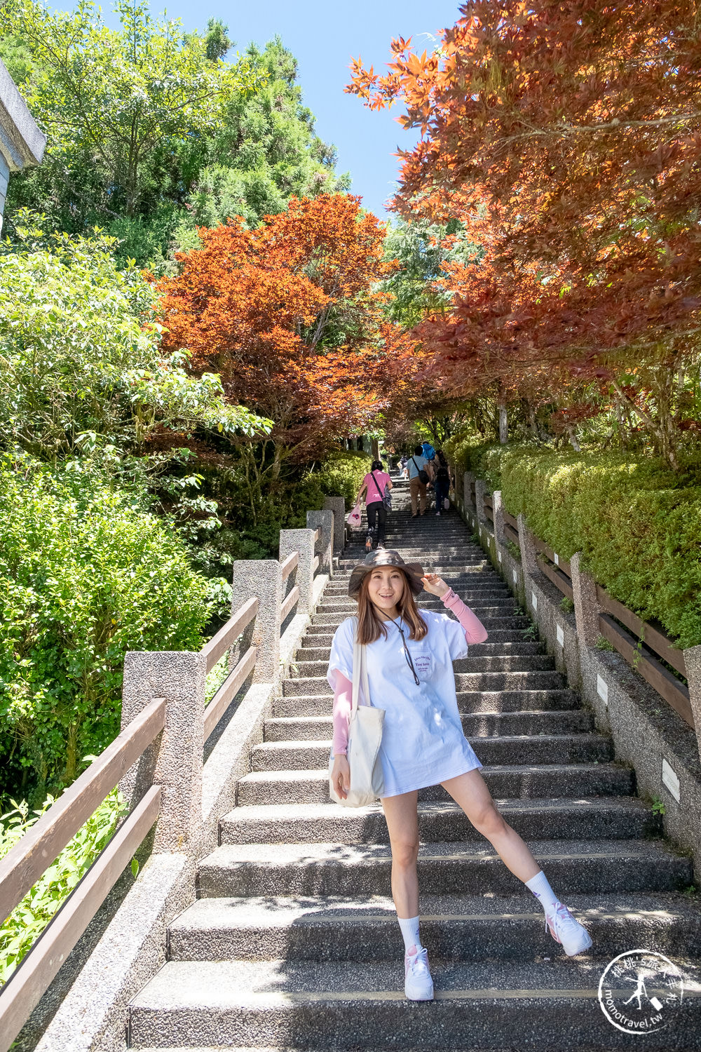 宜蘭太平山景點|太平山莊紫葉槭楓紅階梯|夏天也能賞楓的紅葉步道(門票價格.交通停車.賞楓介紹)