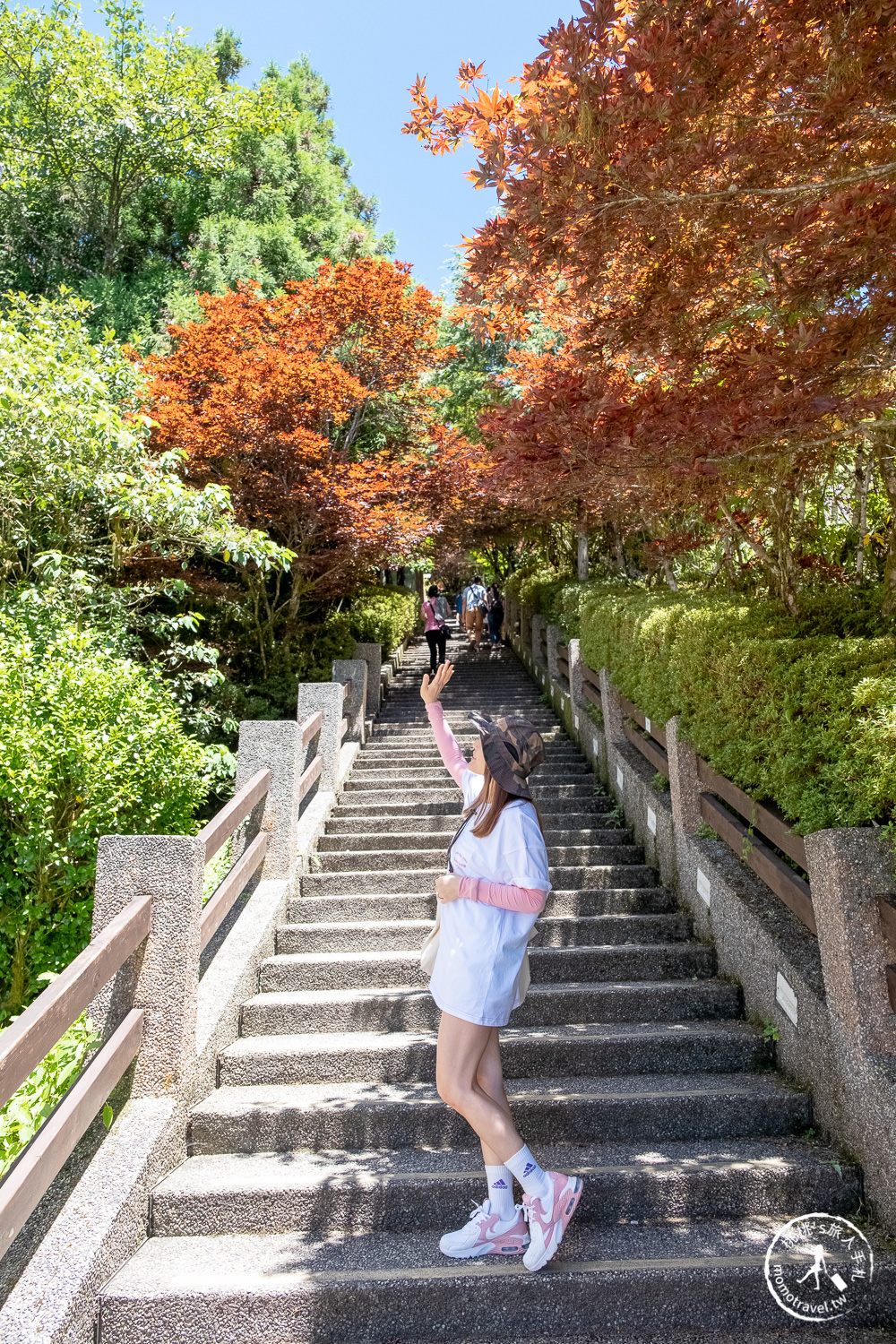 宜蘭太平山景點|太平山莊紫葉槭楓紅階梯|夏天也能賞楓的紅葉步道(門票價格.交通停車.賞楓介紹)