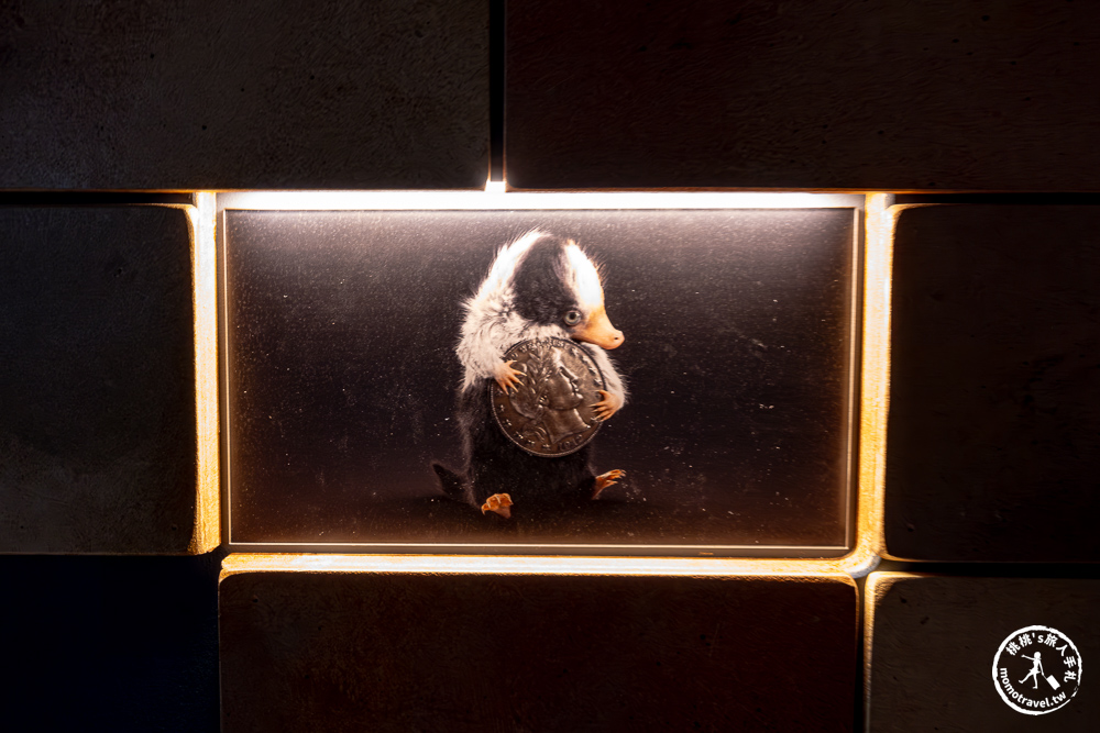 台北展覽|怪獸與大自然的奇幻世界特展|再次回到哈利波特的魔法世界(展期.門票.周邊商品) 台北展覽|怪獸與大自然的奇幻世界特展|再次回到哈利波特的魔法世界(展期.門票.周邊商品)