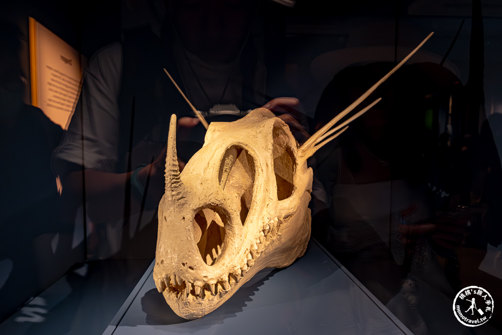 台北展覽|怪獸與大自然的奇幻世界特展|再次回到哈利波特的魔法世界(展期.門票.周邊商品) 台北展覽|怪獸與大自然的奇幻世界特展|再次回到哈利波特的魔法世界(展期.門票.周邊商品)