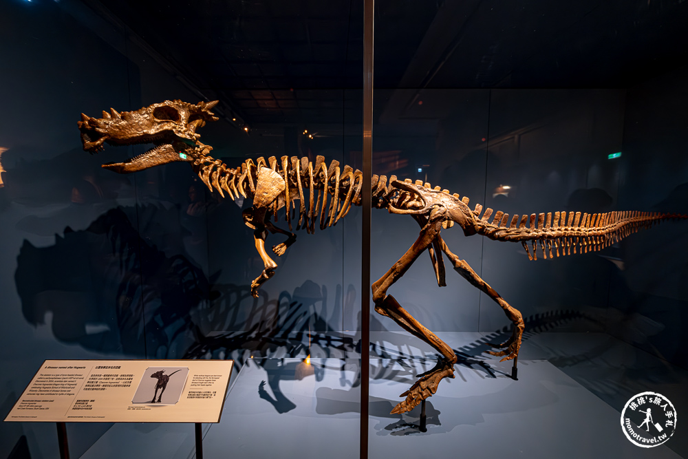 台北展覽|怪獸與大自然的奇幻世界特展|再次回到哈利波特的魔法世界(展期.門票.周邊商品) 台北展覽|怪獸與大自然的奇幻世界特展|再次回到哈利波特的魔法世界(展期.門票.周邊商品)