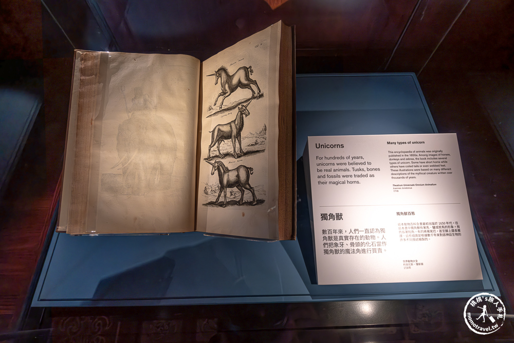 台北展覽|怪獸與大自然的奇幻世界特展|再次回到哈利波特的魔法世界(展期.門票.周邊商品) 台北展覽|怪獸與大自然的奇幻世界特展|再次回到哈利波特的魔法世界(展期.門票.周邊商品)