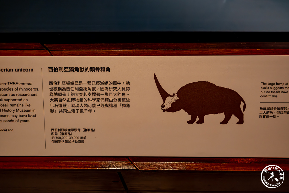 台北展覽|怪獸與大自然的奇幻世界特展|再次回到哈利波特的魔法世界(展期.門票.周邊商品) 台北展覽|怪獸與大自然的奇幻世界特展|再次回到哈利波特的魔法世界(展期.門票.周邊商品)