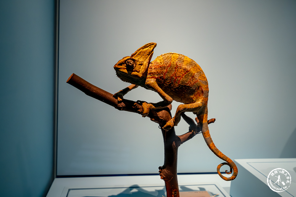 台北展覽|怪獸與大自然的奇幻世界特展|再次回到哈利波特的魔法世界(展期.門票.周邊商品) 台北展覽|怪獸與大自然的奇幻世界特展|再次回到哈利波特的魔法世界(展期.門票.周邊商品)