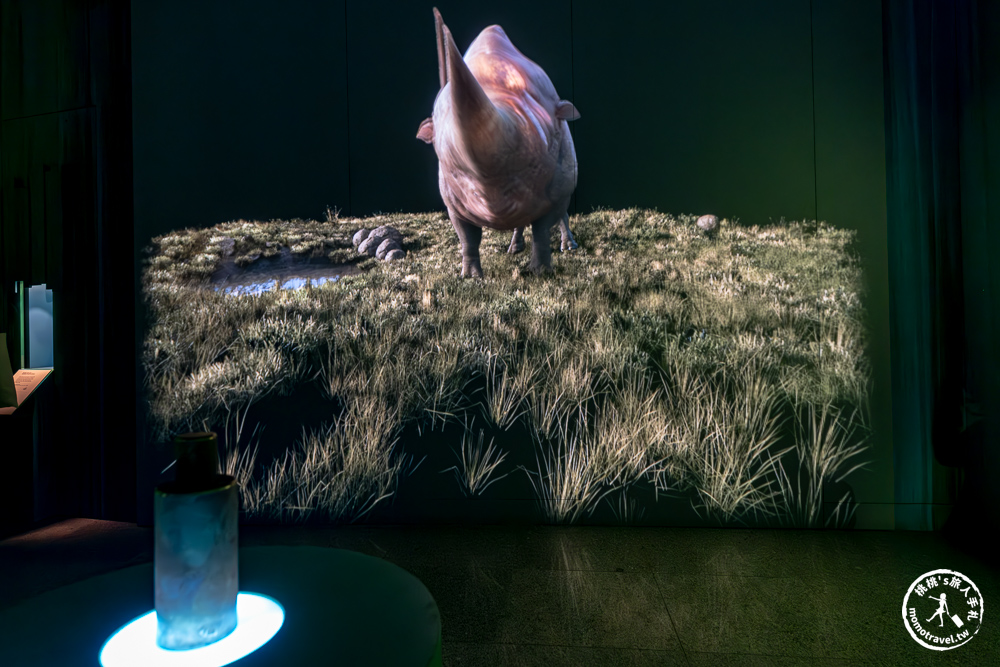 台北展覽|怪獸與大自然的奇幻世界特展|再次回到哈利波特的魔法世界(展期.門票.周邊商品) 台北展覽|怪獸與大自然的奇幻世界特展|再次回到哈利波特的魔法世界(展期.門票.周邊商品)