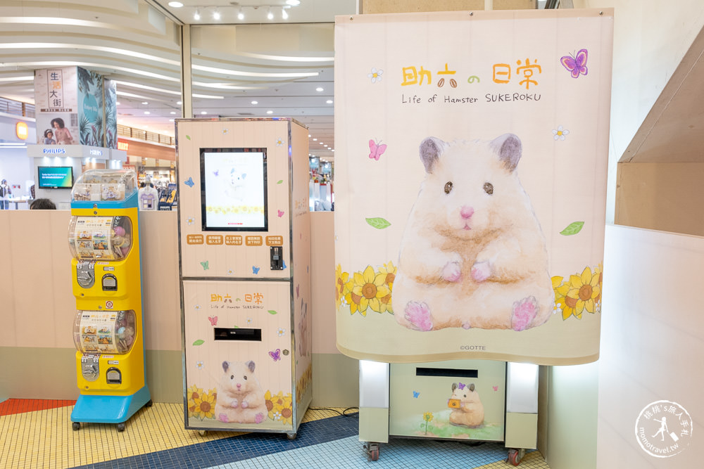 快閃店》助六の日常－萌寵倉鼠療癒登場(免門票)│中和環球購物中心 (展期.看點.商品價格)