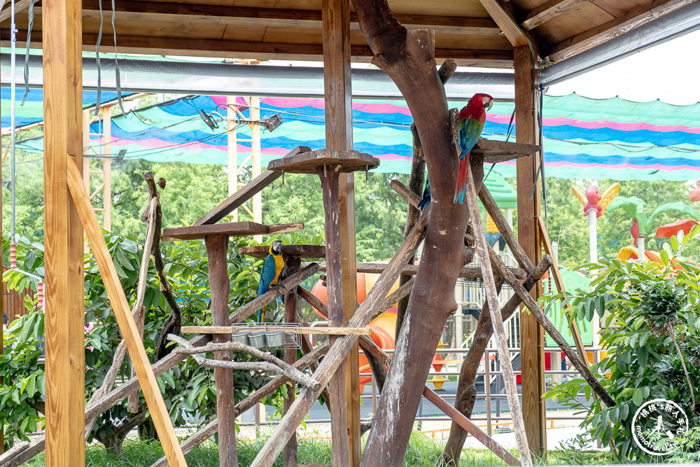 嘉義民雄景點|三隻小豬觀光農場－媲美小型動物園+親子遊樂園|門票.交通.停留時間.一日遊好去處推薦！