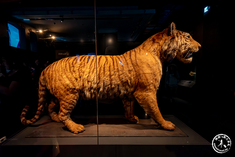 台北展覽|怪獸與大自然的奇幻世界特展|再次回到哈利波特的魔法世界(展期.門票.周邊商品) 台北展覽|怪獸與大自然的奇幻世界特展|再次回到哈利波特的魔法世界(展期.門票.周邊商品)
