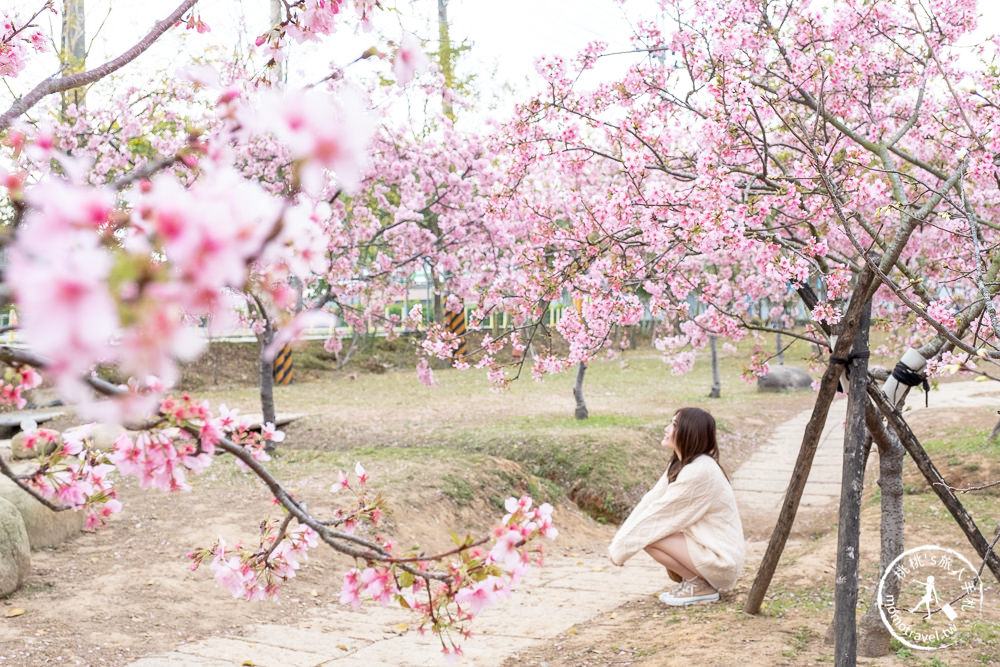 台中賞櫻景點》中科崴立櫻花公園(免門票)-2021最新花況│河津櫻.八重櫻.綠萼櫻-白.粉.桃紅繽紛滿開