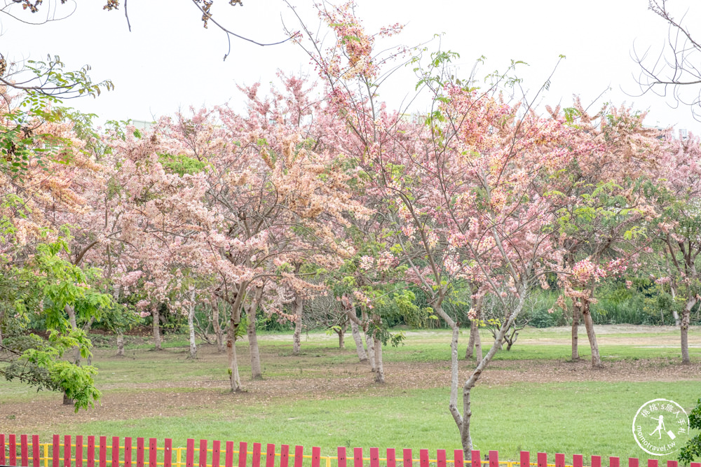 雲林斗六景點|近水樓台湖畔森林咖啡|水上發呆亭海島風|賞花旗木.落羽松(營業時間.交通停車.門票資訊)