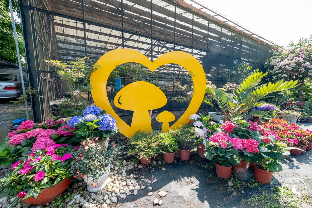 2021桃園繡球花季》8處繡球花祕密花園公開│賞花地點在哪裡？活動時間報你知！