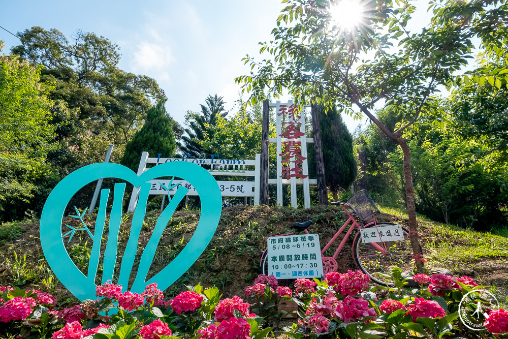2021桃園繡球花季》8處繡球花祕密花園公開│賞花地點在哪裡？活動時間報你知！