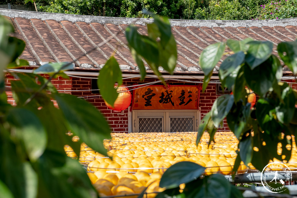 新竹新埔景點》金漢杮餅教育農園(免門票)│季節限定曬柿餅季節推薦觀光