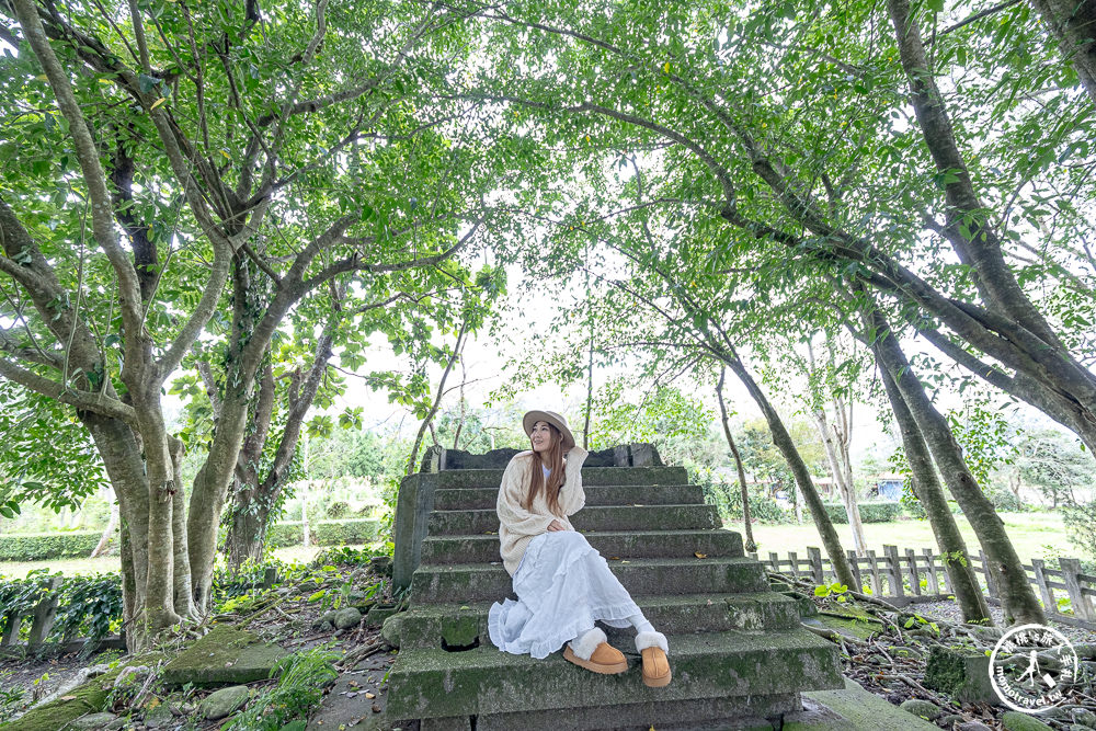 花蓮鳳林景點|林田神社遺跡(免門票)-鳥居.參拜道.石燈籠，穿越百年時空遙想日本神社原貌