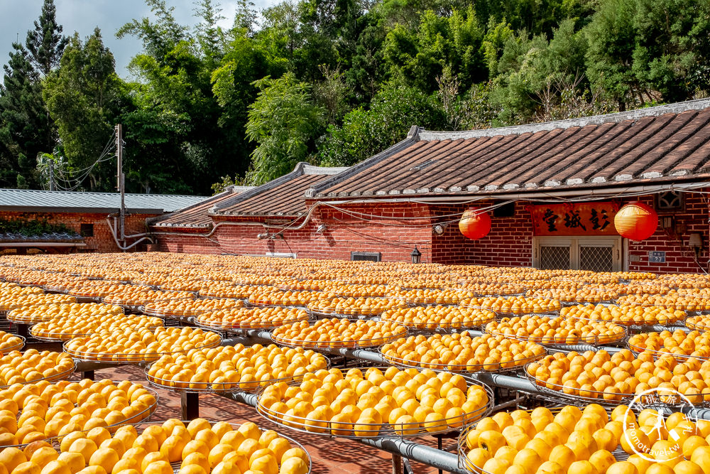 新竹新埔景點》金漢杮餅教育農園(免門票)│季節限定曬柿餅季節推薦觀光