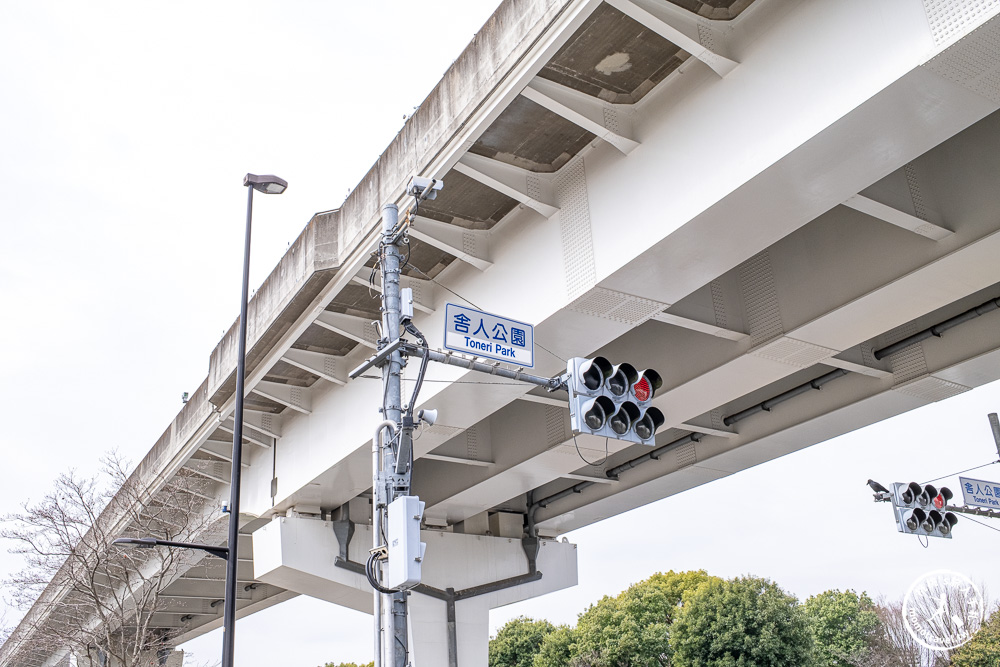 東京賞櫻景點|舍人公園-千本櫻絕美盛開！品種多元花期長 悠閒野餐推薦-日暮里舍人線櫻花秘境