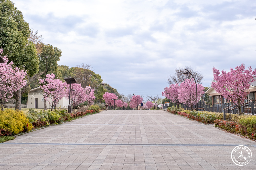 東京賞櫻景點|舍人公園-千本櫻絕美盛開！品種多元花期長 悠閒野餐推薦-日暮里舍人線櫻花秘境