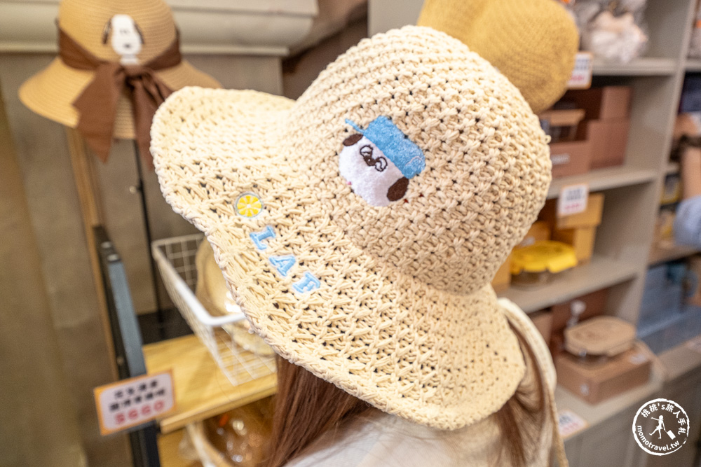 快閃店|史努比快閃店 PEANUTS夏日海灘祭-260公分歐拉夫.巨型史努比 台北華山免費參觀(展期.門票.周邊商品)
