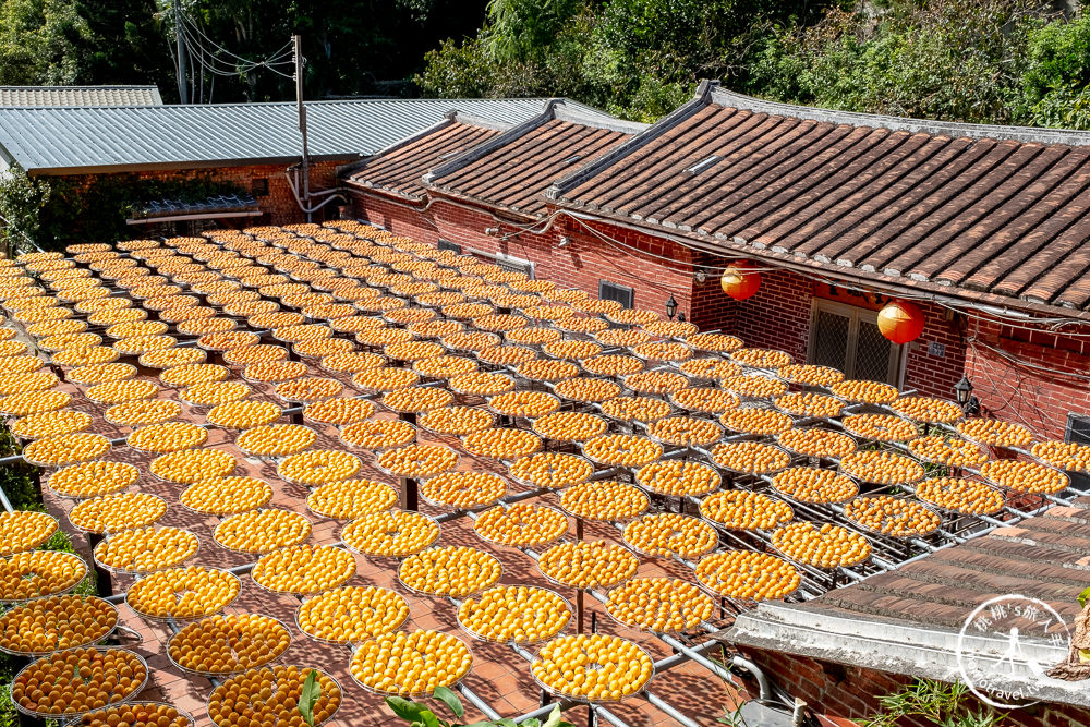 新竹新埔景點》金漢杮餅教育農園(免門票)│季節限定曬柿餅季節推薦觀光