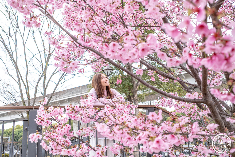 東京賞櫻景點|舍人公園-千本櫻絕美盛開！品種多元花期長 悠閒野餐推薦-日暮里舍人線櫻花秘境