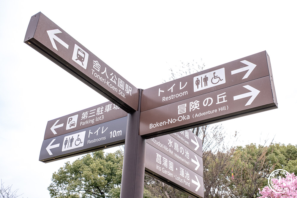 東京賞櫻景點|舍人公園-千本櫻絕美盛開！品種多元花期長 悠閒野餐推薦-日暮里舍人線櫻花秘境