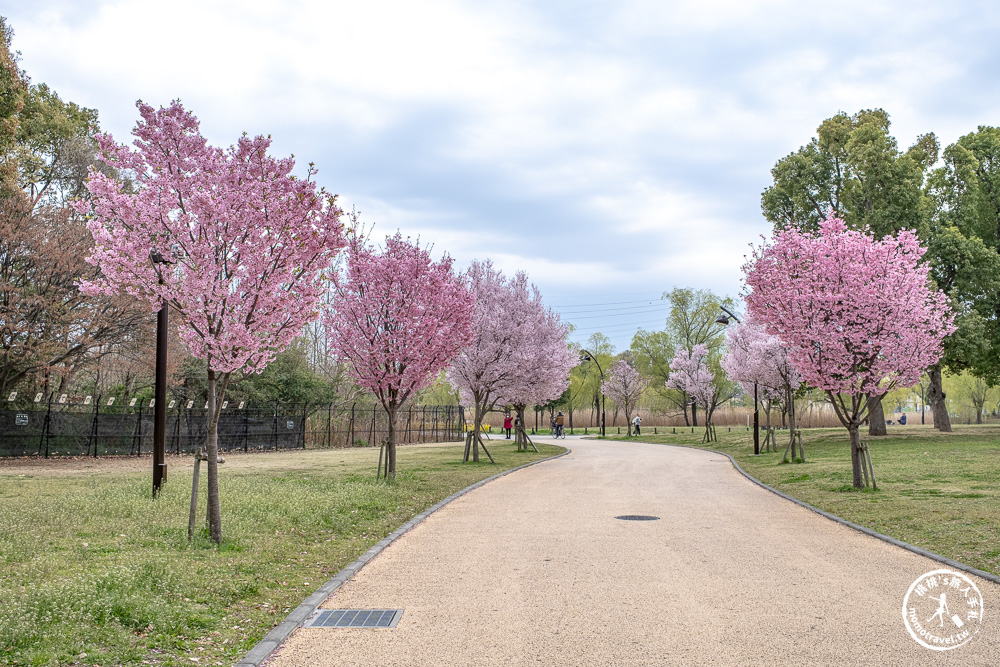 東京賞櫻景點|舍人公園-千本櫻絕美盛開！品種多元花期長 悠閒野餐推薦-日暮里舍人線櫻花秘境