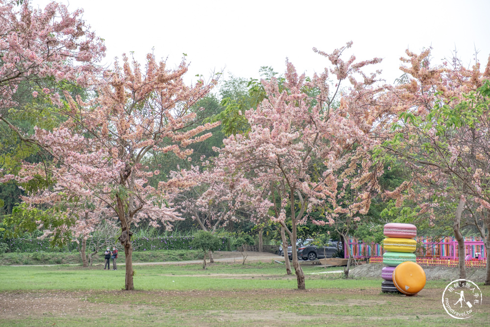 雲林斗六景點|近水樓台湖畔森林咖啡|水上發呆亭海島風|賞花旗木.落羽松(營業時間.交通停車.門票資訊)