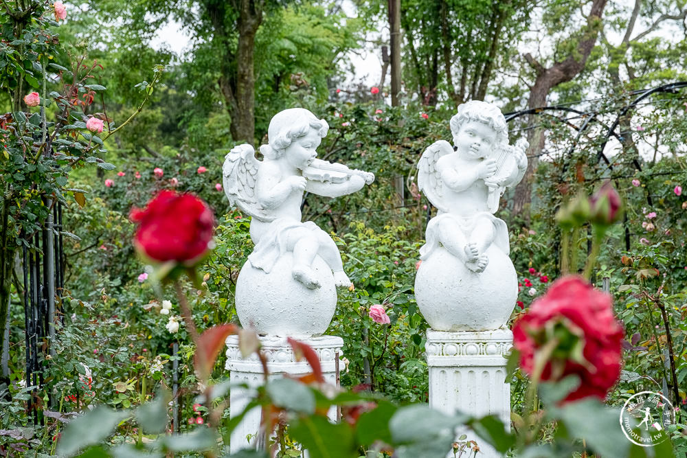 苗栗三義景點|雅聞香草植物工廠-浪漫玫瑰季|連假周休最強網美.親子.美食.免費景點