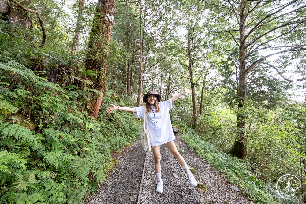 宜蘭太平山景點|見晴懷古步道|CNN全球最美小徑-綠苔山林鐵道遺跡|太平山一日遊必玩推薦